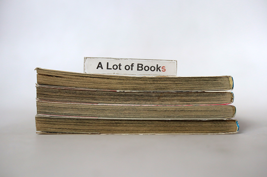 ซอมบี้ฮันเตอร์ Zombie hunter ( 4 เล่มจบ )