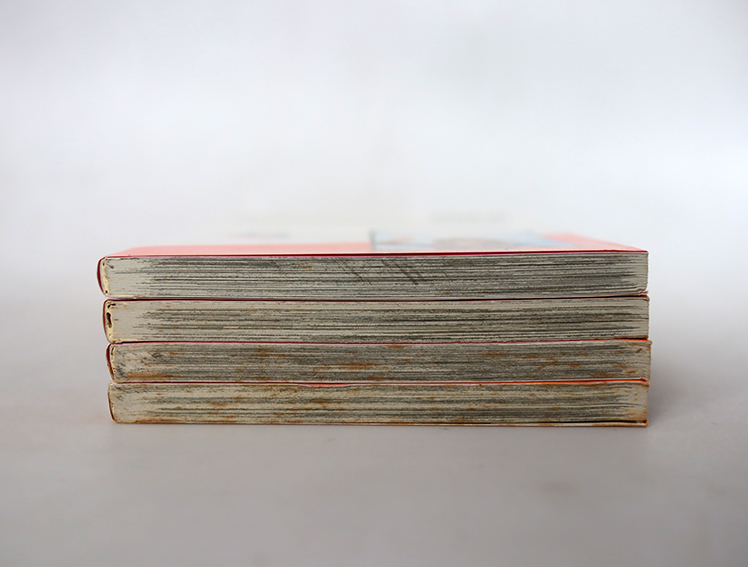 With อลวนสองคนในร่างเดียว ( 4 เล่มจบ )