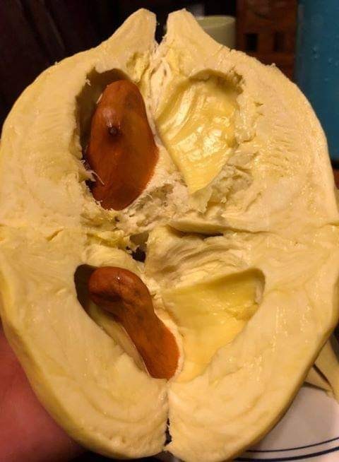 ทุเรียน เกรดพรีเมียม