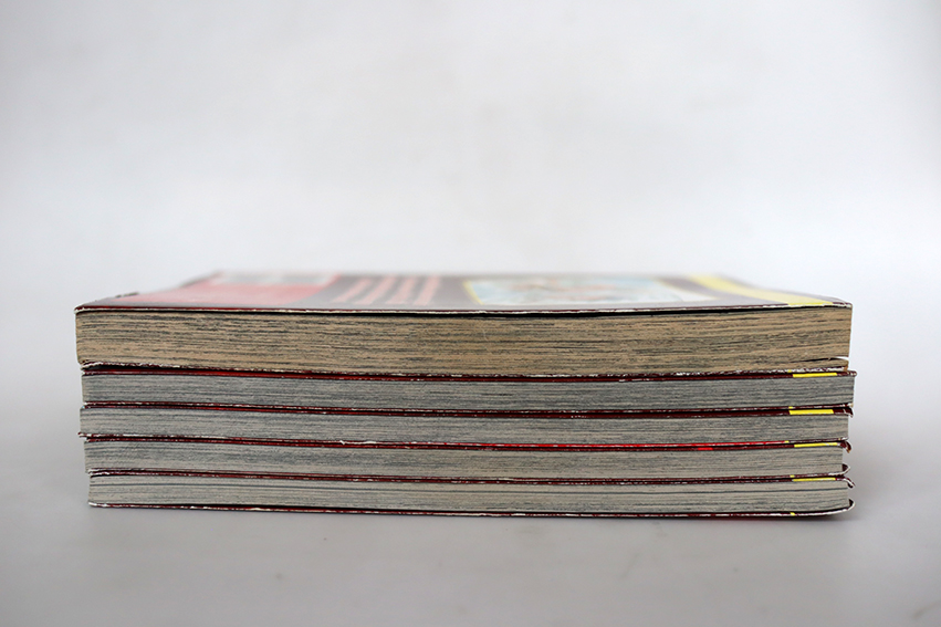 บาคุมัทสึ ซามูไรพันธุ์ระห่ำ ( 5 เล่มจบ )