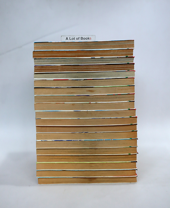 Twin signal ทวินซิกแนล ( 19 เล่มจบ )