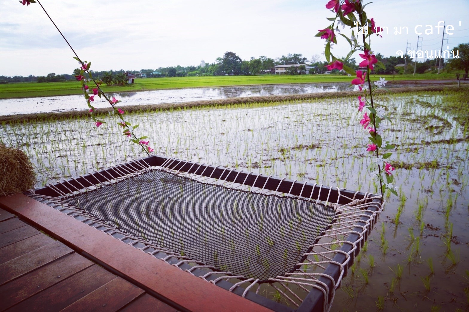 Hammock เปลตาข่ายนั่งเล่น ตาข่ายเช็คอินคาเฟ่ ตาข่ายกันตก