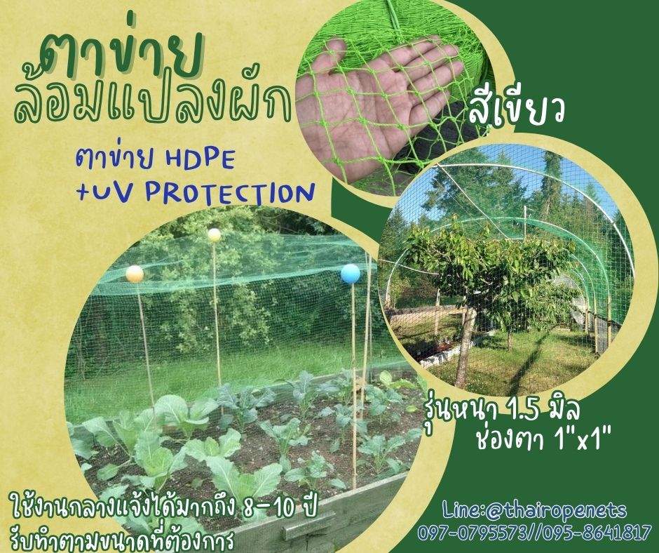 ตาข่ายแปลงผัก สีเขียว ตาข่าย HDPE รุ่นหนา 1.5 มิล ช่องตา 1x1 นิ้ว เคลือบสารป้องกัน UV ทนแดด ทนฝน มีความหนาแน่นสูง ทนต่อแรงดึง