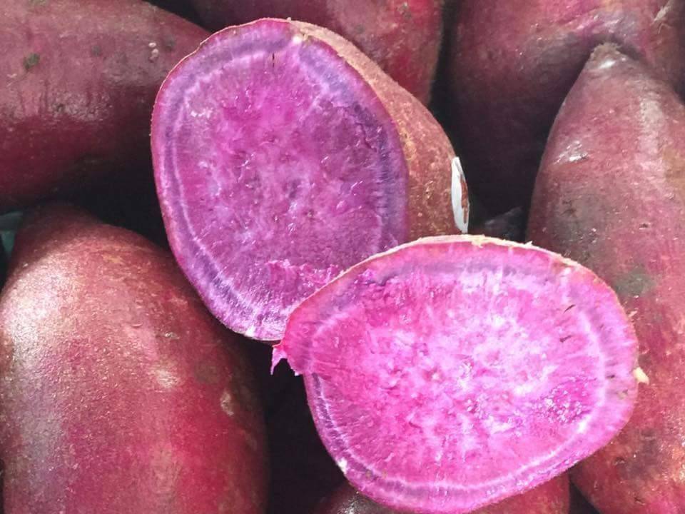 มันม่วงญี่ปุ่น