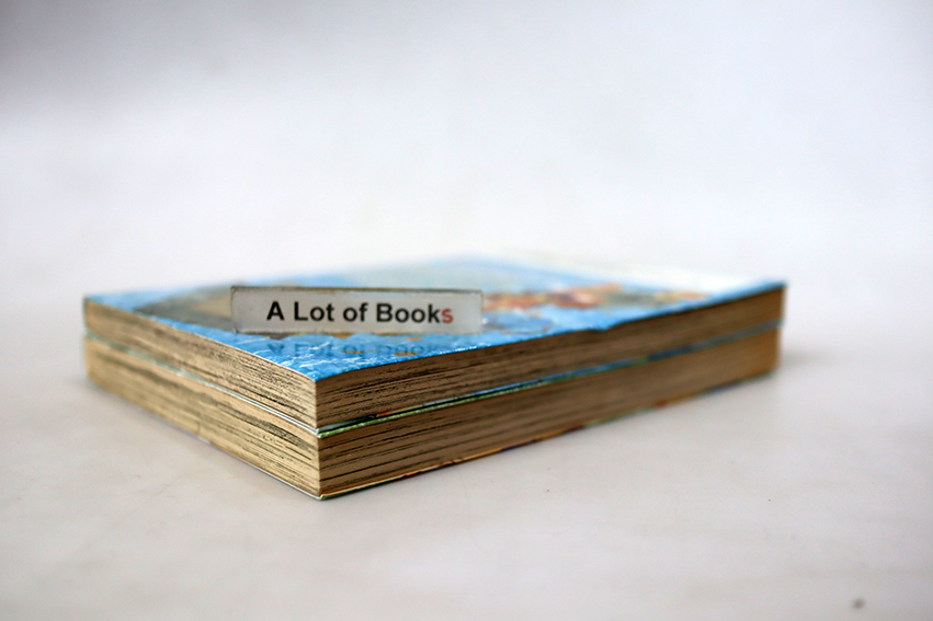 นักรบวิหคภูต ( 2 เล่มจบ )