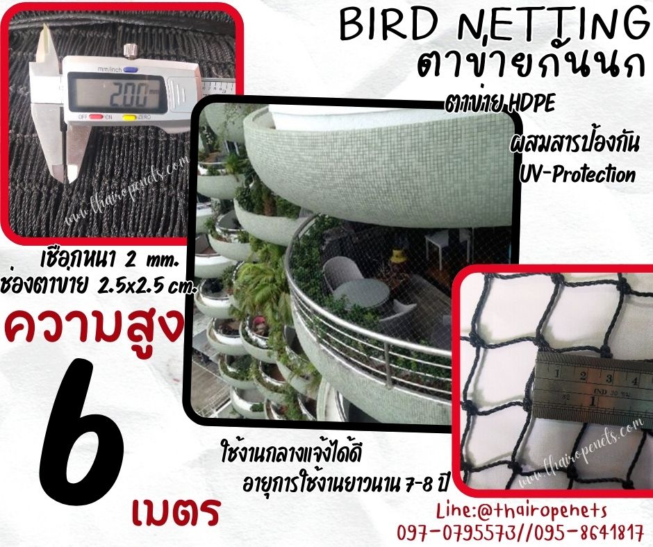 ตาข่ายปิดช่องกันนก bird netting ความสูง 6 เมตร เชือกหนา 2 มิล ช่องตา 2.5 cm.กดเลือกความยาวตามต้องการได้เลยค่ะ