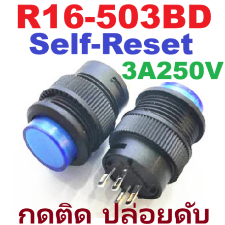 R16-503BD 4 pin 3A 250V AC สวิทช์กดติด ปล่อยดับ มีไฟ LED สีน้ำเงิน Round Push Button Boat Momentary Switch ฺBlue Light SPDT สวิตช์