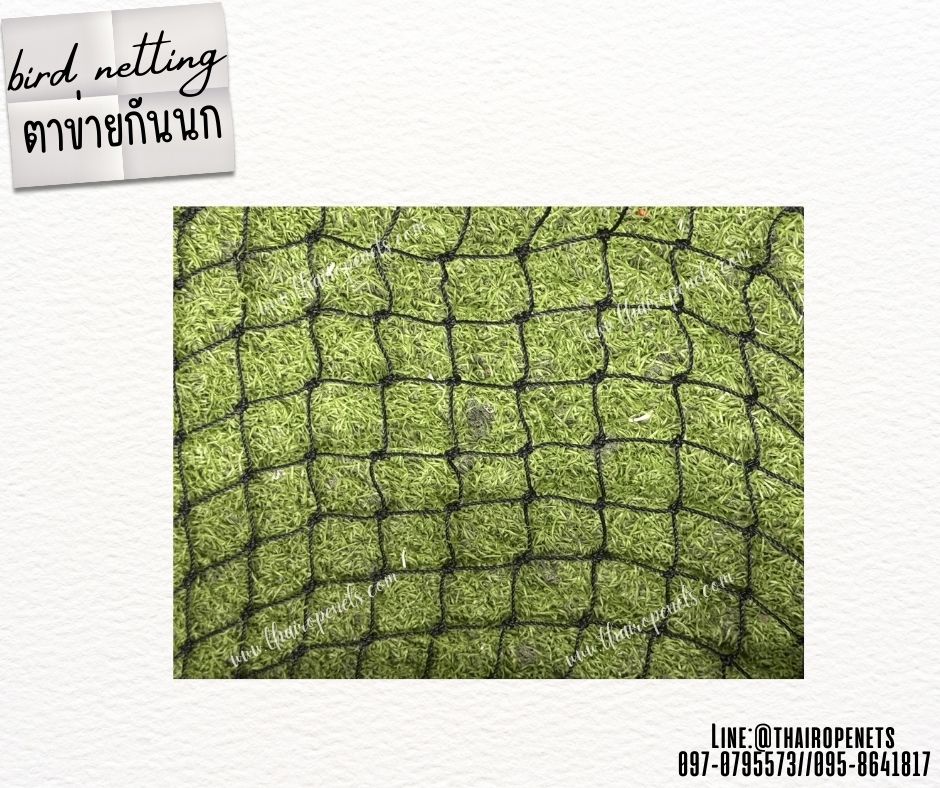 ตาข่ายกันนก ดักนก bird netting สีดำ เชือกหนา 1 มิล ช่องตา1x1 นิ้ว ตาข่ายกันนกเข้าแปลงผัก เข้าอาคาร ทำตามขนาดที่ต้องการ