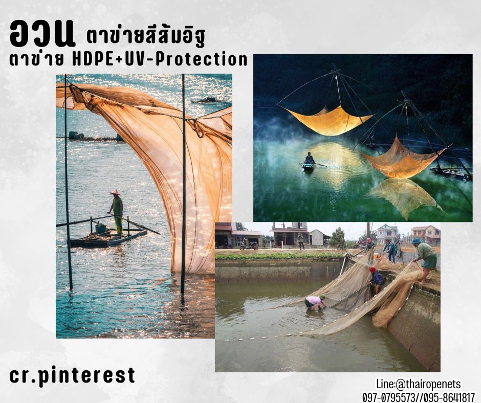 อวนดักปลา สีส้มอิฐ เส้นเชือกหนา 0.8 มิล ช่องตา 2.5x2.5 cm.ผสมสารป้องกัน UV ทนแดด ทนฝน รับทำตามขนาด