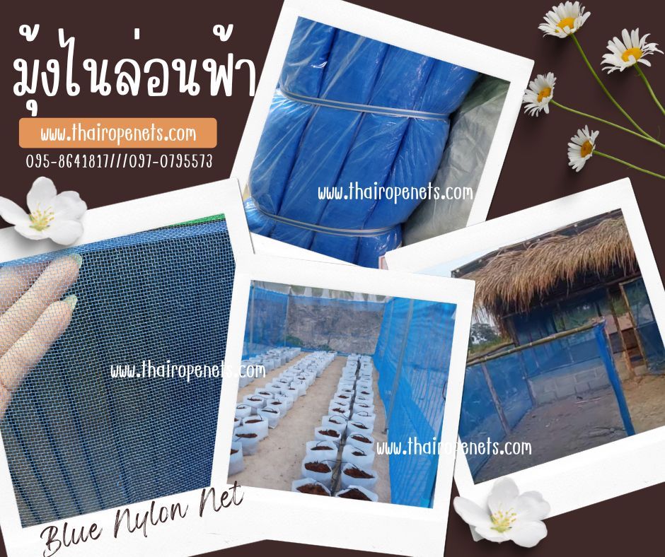 มุ้งไนล่อนฟ้า (ฺBlue Nylon Net) ตาข่ายไนล่อน มีลักษณะคล้ายมุ้งลวดประตูหน้าต่าง นิยมใช้เป็นมุ้งกันแมลงหรือศัตรูพืช เหมาะแก่การทำเกษตร หรือ กระชังเลี้ยงสัตว์น้ำ