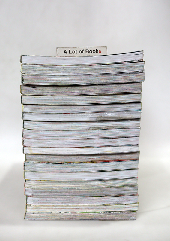 การ์ตูนความรู้ชุด สาวน้อยคนเก่ง