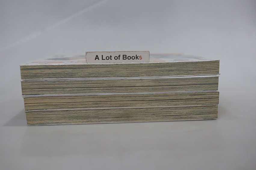 ฝ่าฝันโลกมายา (4 เล่มจบ )