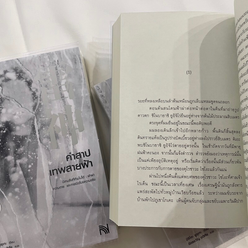 คำสาปเทพสายฟ้า / ผู้เขียน: มิจิโอะ ชูสุเกะ / สำนักพิมพ์: น้ำพุ / หมวดหมู่: นิยายแปล