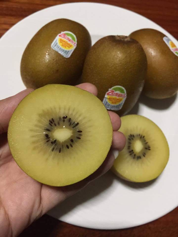 กีวี่สีทอง นำเข้า