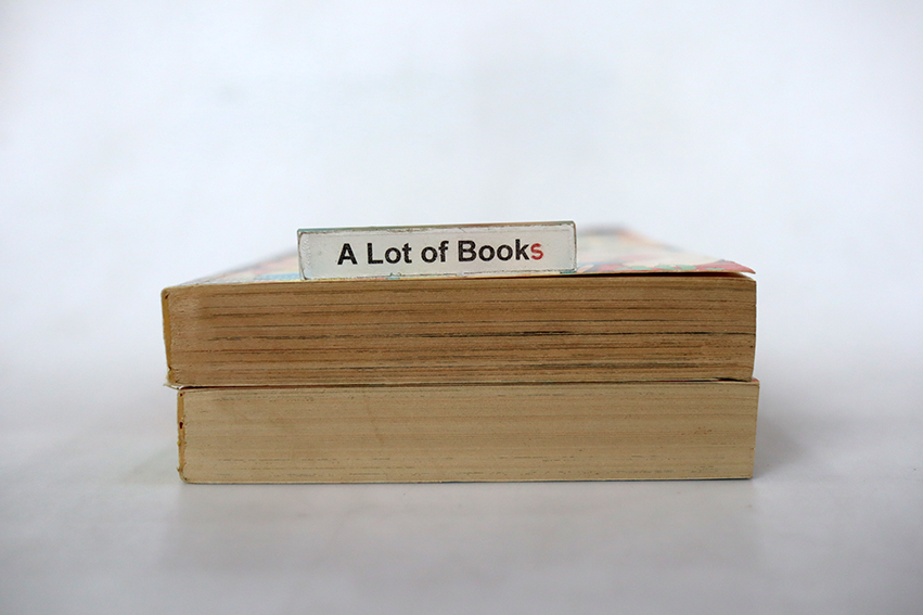 ผจญภัยแดนโหด ( 2 เล่มจบ )