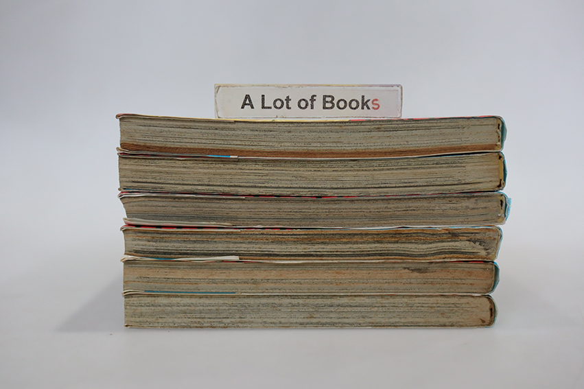 ถึงเป็นปลาก็กล้าสู้ ( 6 เล่มจบ )