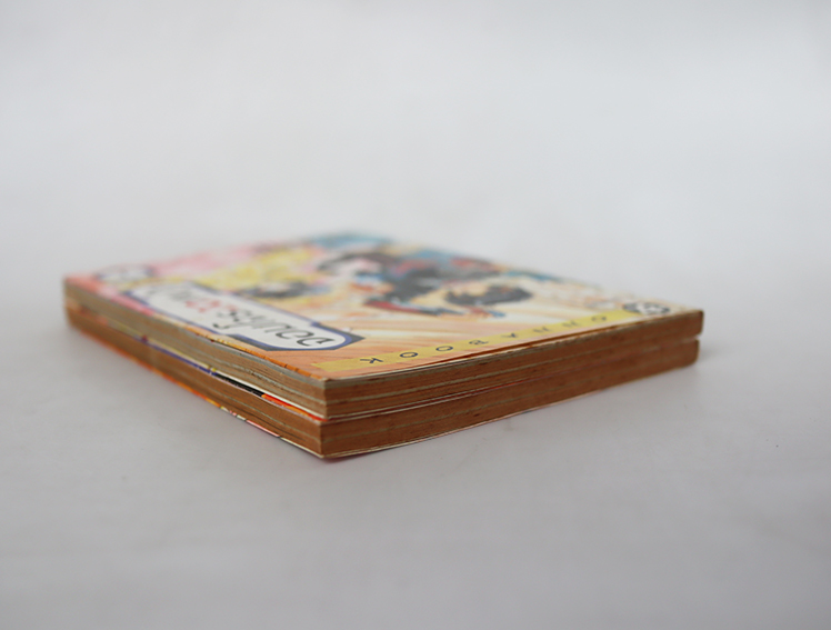 จอมโจร 20 หน้า ( 2 เล่มจบ )