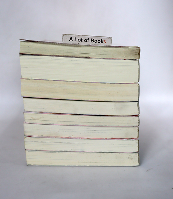 นิยายแจ่มใส เลิฟซีรี่ย์ - แสตมป์เบอรี่