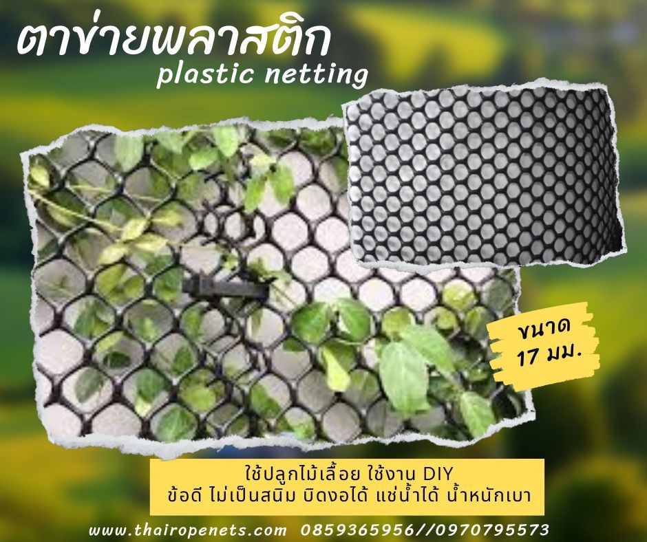 ตาข่ายพลาสติก (Plastic Net) ตาข่ายที่มีความเหนียว แข็งแรง ไม่เป็นสนิม ผสมสารป้องกัน UV ทนต่อแสงแดด ไม่แตกกรอบง่าย