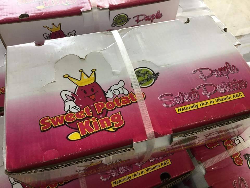 มันม่วงญี่ปุ่น