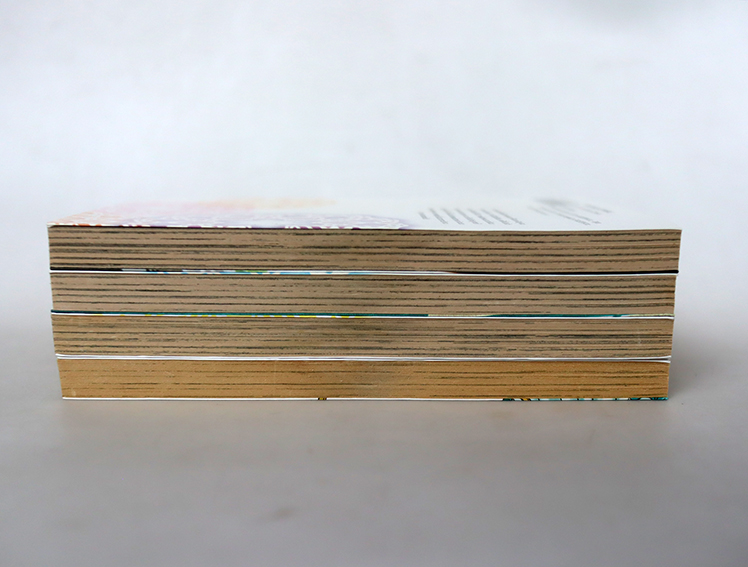 Hungry Marie (4 เล่มจบ )