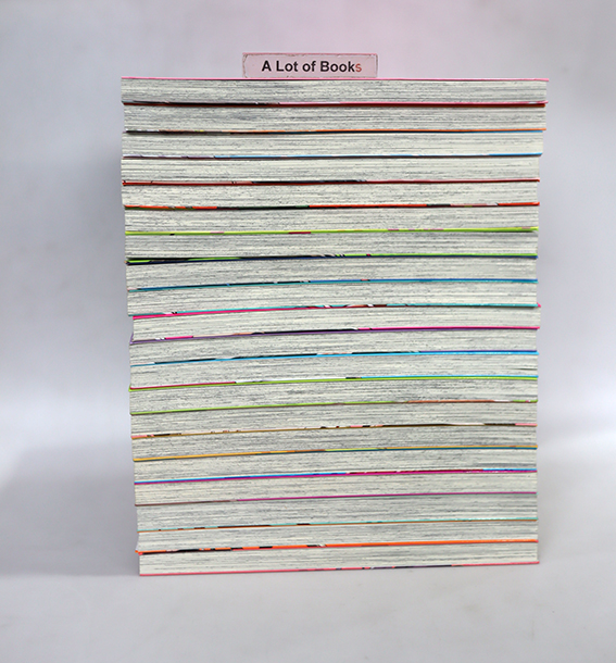 สาวซ่าจีบหนุ่มโอตาคุ ( 20 เล่มจบ )