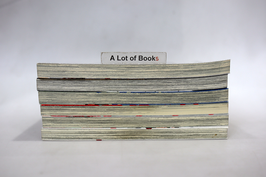 แมลง ลูกตา และตุ๊กตาหมี ( 6 เล่มจบภาค )