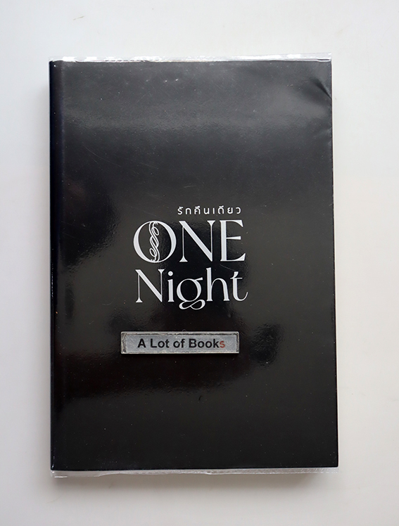 รักคืนเดียว One night