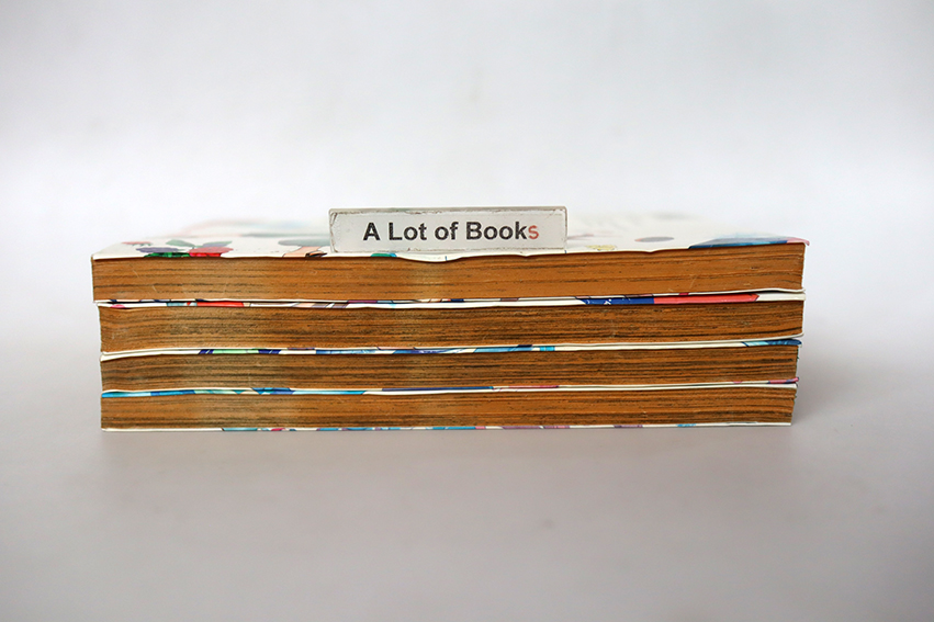 Outbreak company ( 4 เล่มจบ )