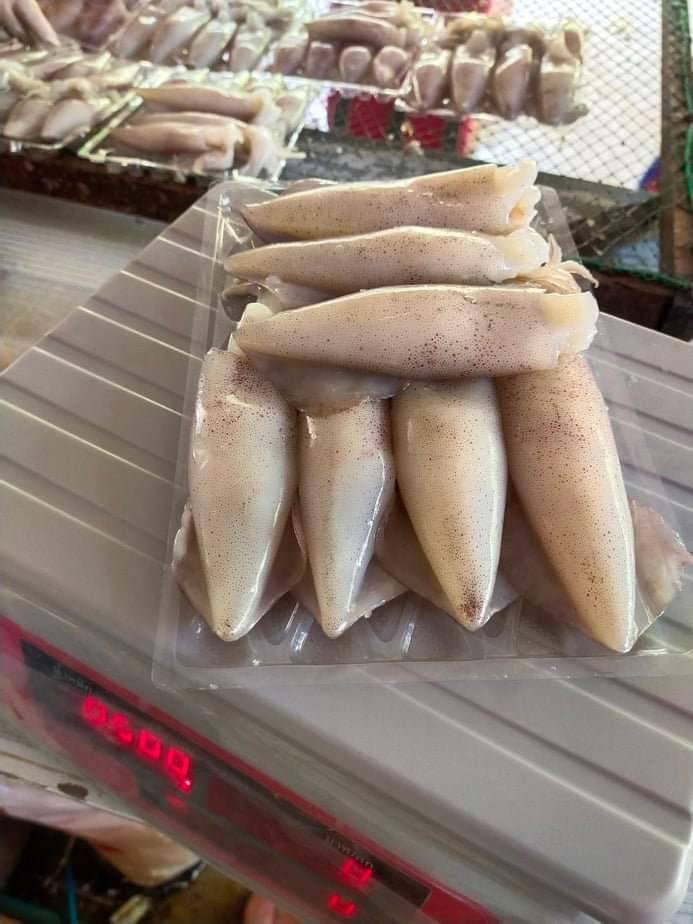 หมึกไข่แดดเดียว 500 กรัม