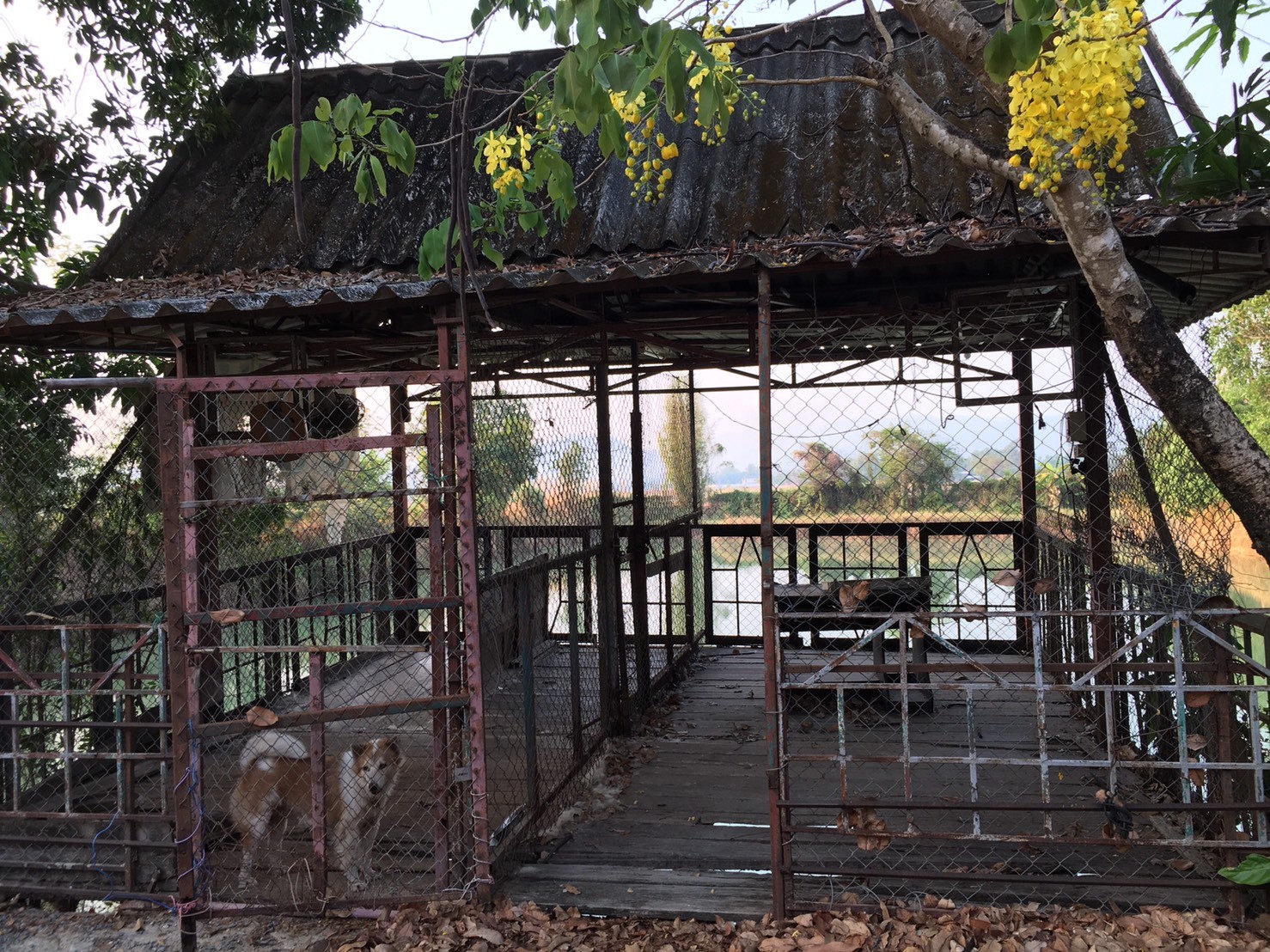 ขายที่ดิอยู่ฝั่งตรงข้ามโรงเกลือนครนายก เนื้อที่ 10 ไร่กว่าๆ