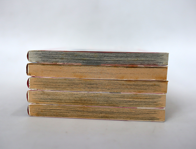 รวมก๊วนพี่น้องจอมป่วน ( 5 เล่มจบ )