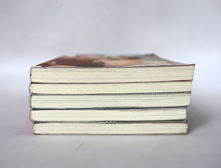 นิยายแจ่มใส เลิฟซีรี่ย์ - กุ๊กกาโร่ว