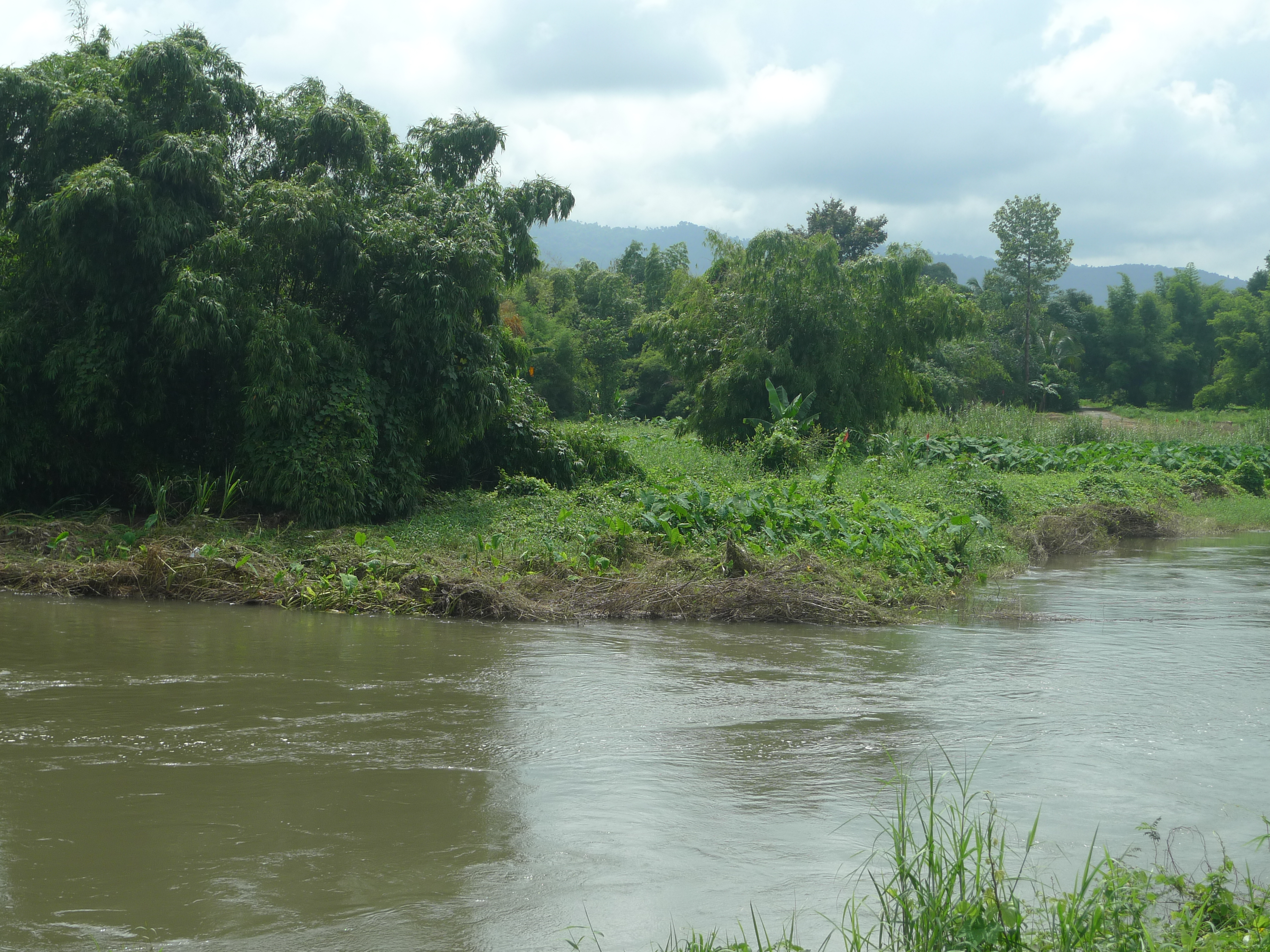 ที่ดินเปล่า รอการพัฒนา นครนายก (ราคาต่อรองได้)