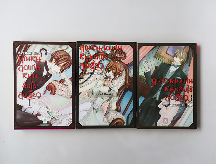 คุณหนูสุดแก่น หนุ่มรับใช้สุดเซี้ยว ( 3 เล่มจบ )