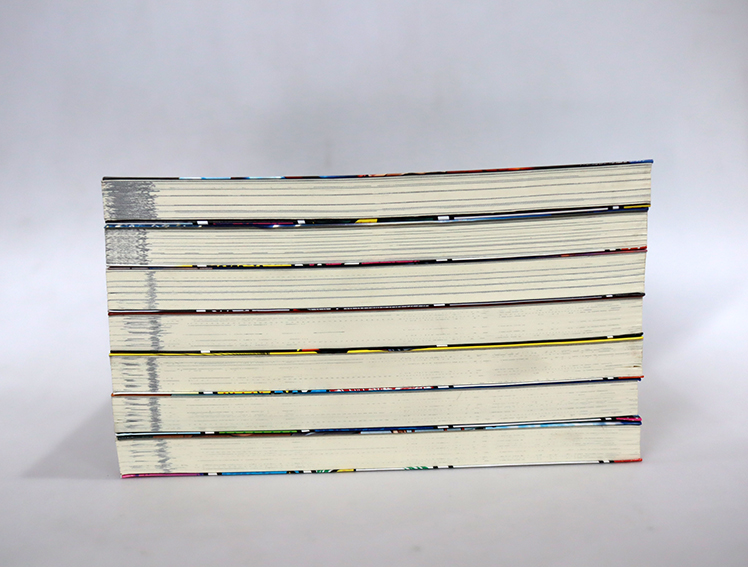 My hero academia มายฮีโร่ อคาเดมีย (ฉบับนิยาย)