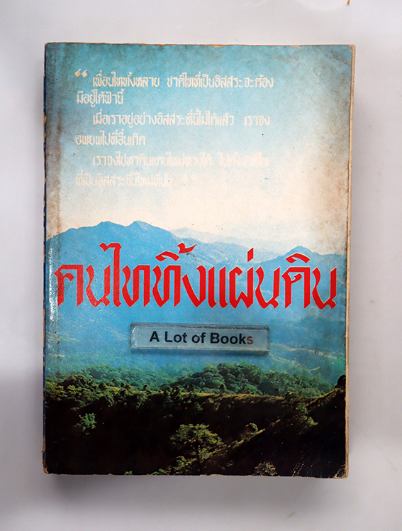 คนไททิ้งแผ่นดิน