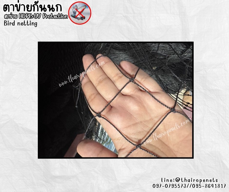 ตาข่ายกันสัตว์ กันนก สีดำ bird netting เชือกหนา 1.5 มิล ช่องตา 5x5 cm.ผสมสารป้องกัน UV รับทำตามขนาดที่ต้องการ