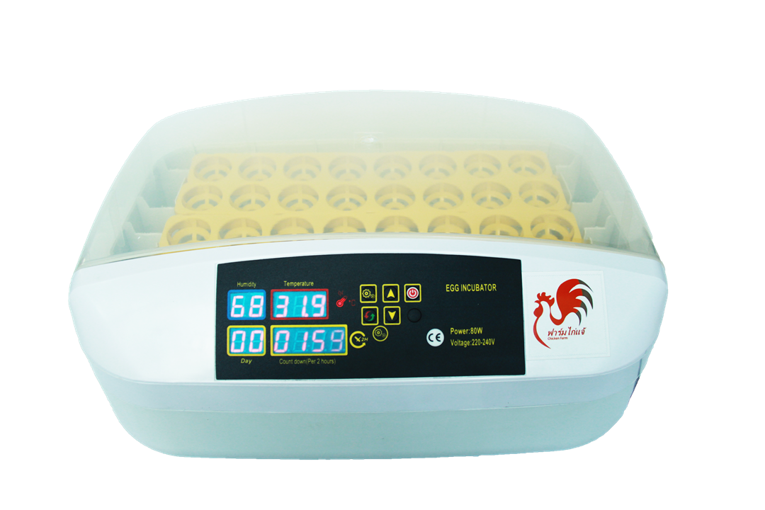 เครื่องฟักไข่ ขนาด 32 ฟอง รุ่น CF-32 กลับไข่อัตโนมัติ