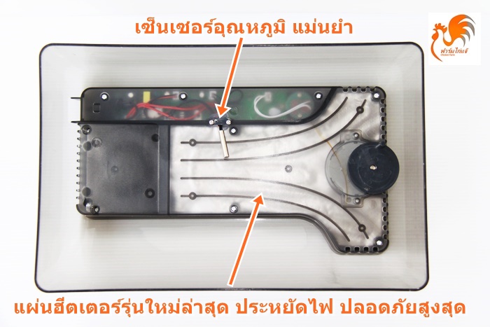 เครื่องฟักไข่อัตโนมัติ 12/35 ฟอง ตู้ฟักไข่ ตู้อบไข่ ฟักไข่ได้หลายขนาด ไข่ไก่ ไข่ห่าน ไข่นกกระทา