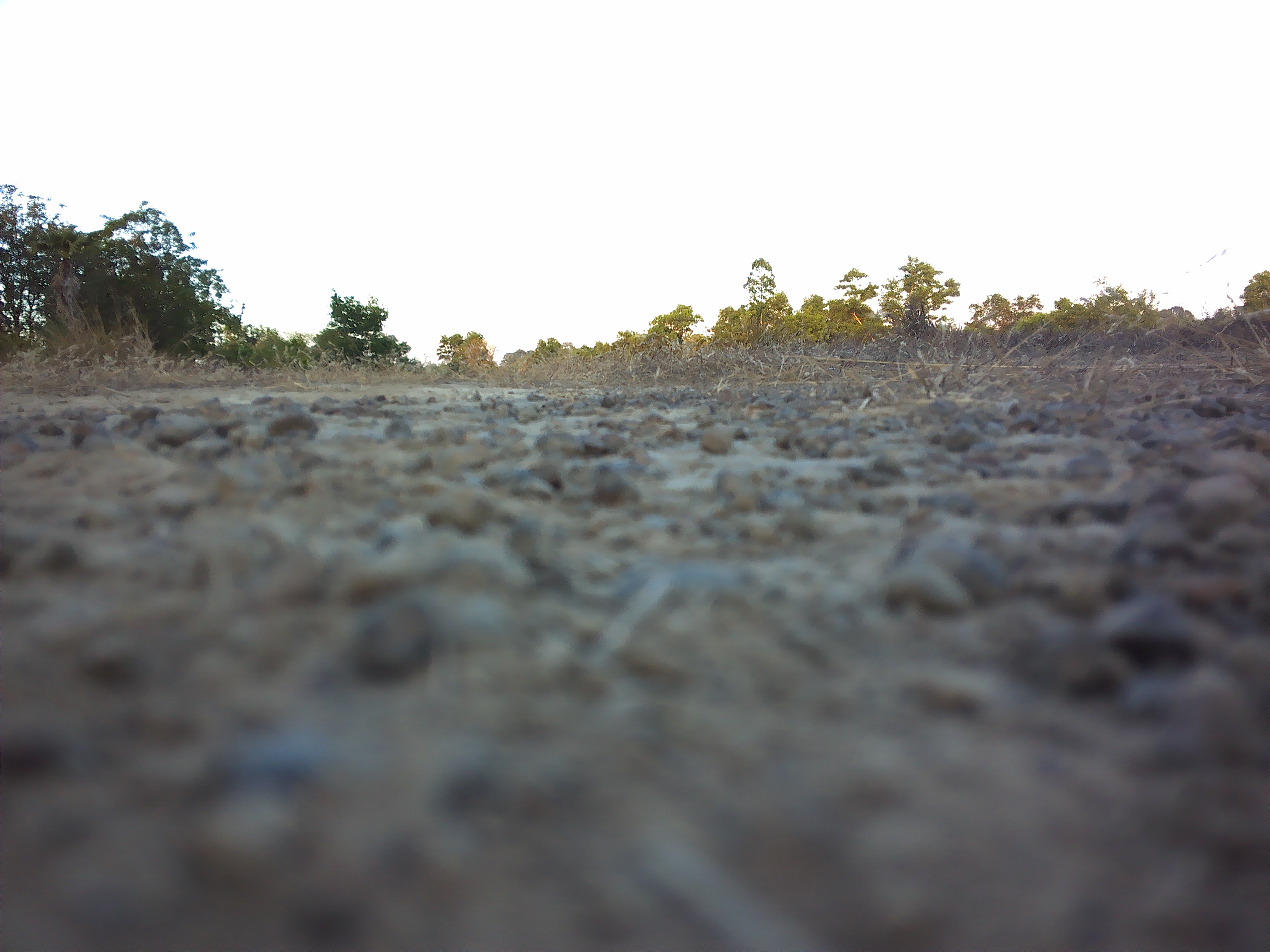 ZLRC SG108 5G WIFI FPV GPS พร้อม 4K HD กล้อง Optical Flow Poaitioning Brushless พับได้ RC