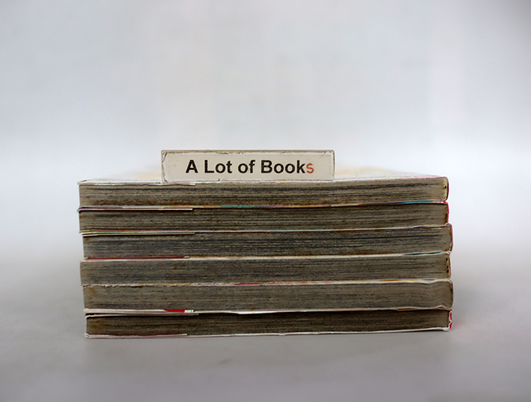 B-Wanted มายารัก มายากล ( 6เล่มจบ )