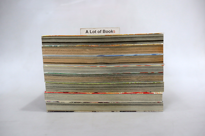 ES เอส ( 8 เล่มจบ )