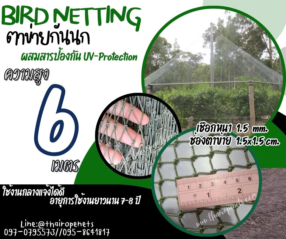 bird netting ตาข่ายกันนกเข้าสวนผลไม้ ความสูง 6 เมตร รุ่นหนา 1.5 มิล ช่องตา 1.5x1.5 cm. สีเขียวขี้ม้า กดเลือกความยาวตามต้องการได้เลยค่ะ