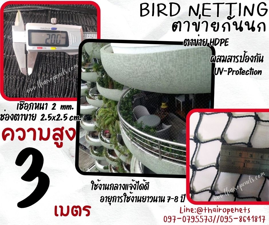 ตาข่ายกั้นเขตห้ามนกเข้าบ้าน bird netting ความสูง 3 เมตร เชือกหนา 2 มิล ช่องตา 2.5 cm.กดเลือกความยาวตามต้องการได้เลยค่ะ