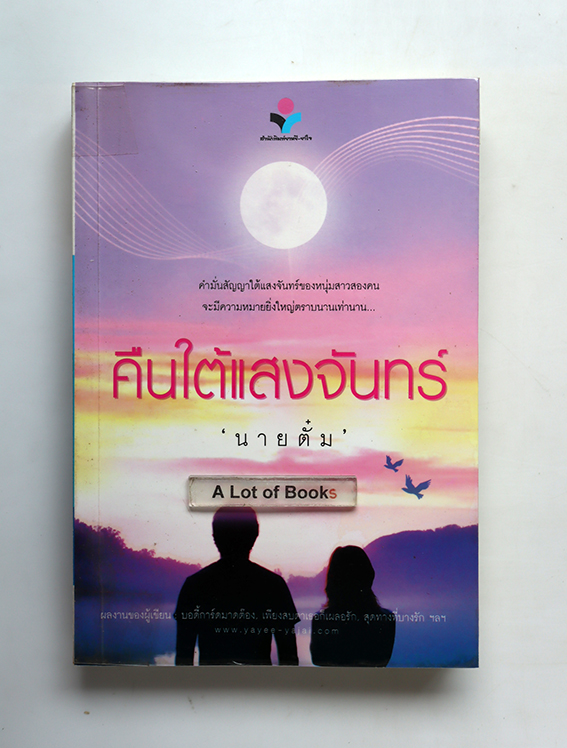 คืนใต้แสงจันทร์