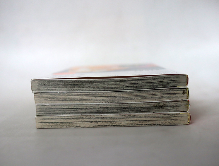 ลักกี้อินเกม ลักกี้อินเลิฟ (รึเปล่า ) 4 เล่มจบ