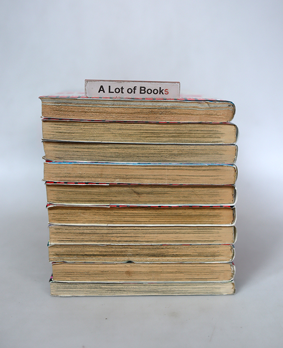 เขาคนนี้ผีดูดเลือด ( 9 เล่มจบ )