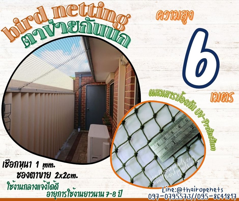 ตาข่ายกั้นนกเข้าแปลงผัก bird netting สีเขียวขี้ม้า ความสูง 6 เมตร รุ่นหนา 1 มิล ช่องตา 2x2 cm. กดเลือกความยาวตามต้องการได้เลยค่ะ