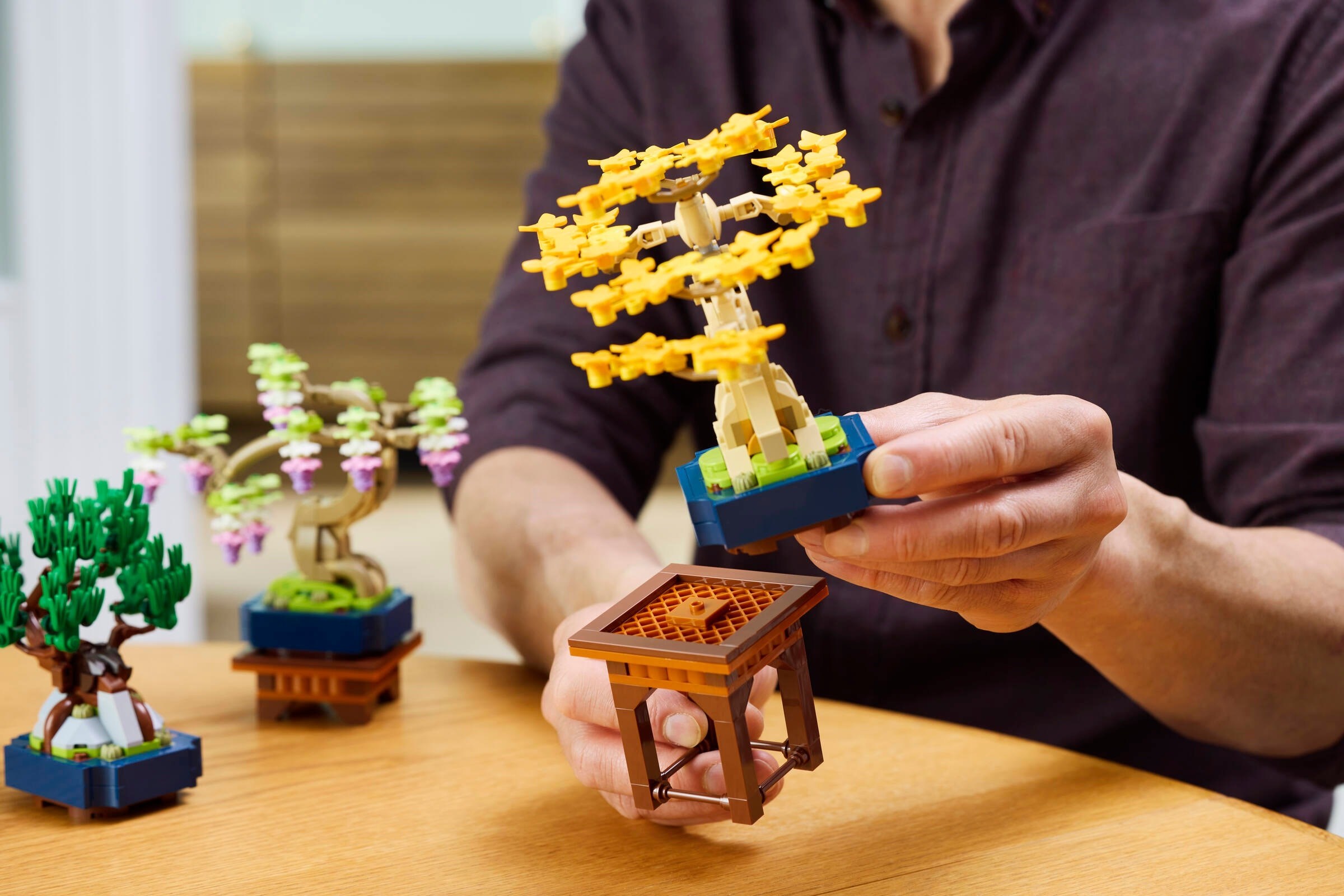 LEGO Botanical Collection เลโก้ 10373 Mini Bonsai Trees